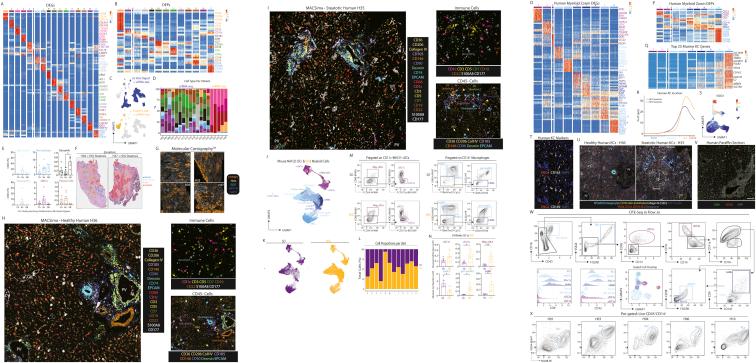 https://cdn.ncbi.nlm.nih.gov/pmc/blobs/aff2/8809252/8c08c534df43/figs6.jpg