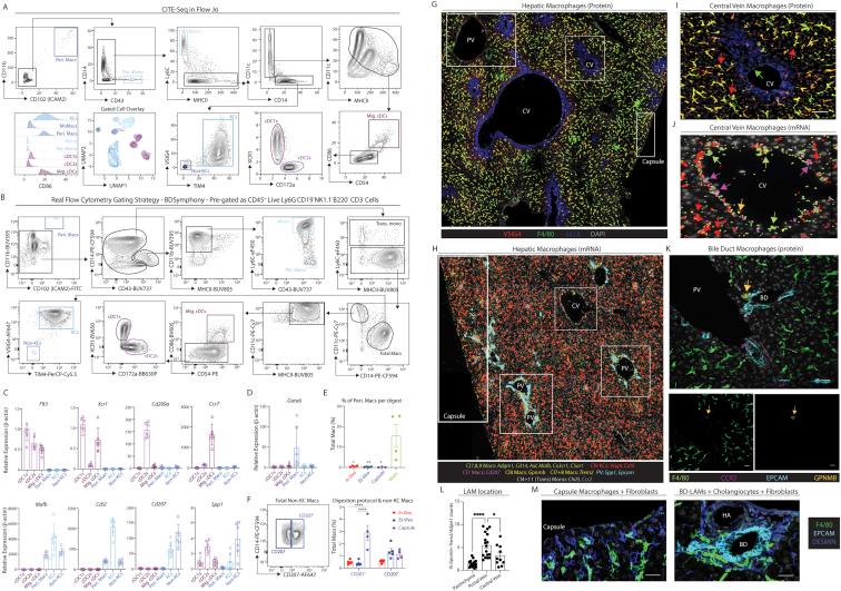 https://cdn.ncbi.nlm.nih.gov/pmc/blobs/aff2/8809252/94341ea5e5ea/figs3.jpg