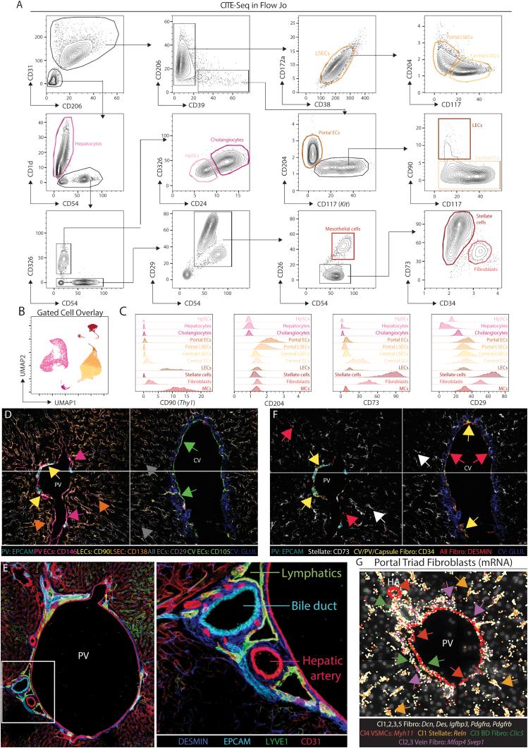 https://cdn.ncbi.nlm.nih.gov/pmc/blobs/aff2/8809252/b092ac237f63/figs4.jpg