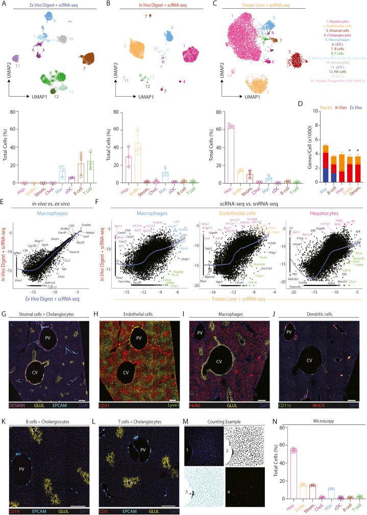 https://cdn.ncbi.nlm.nih.gov/pmc/blobs/aff2/8809252/cf6102785b22/figs1.jpg