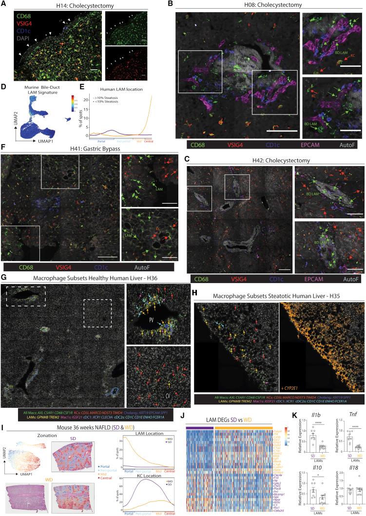 https://cdn.ncbi.nlm.nih.gov/pmc/blobs/aff2/8809252/e7fdb08ffc98/gr5.jpg