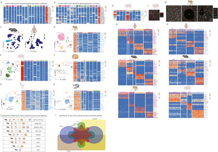 https://cdn.ncbi.nlm.nih.gov/pmc/blobs/aff2/8809252/f0635ad11d7c/figs7.jpg