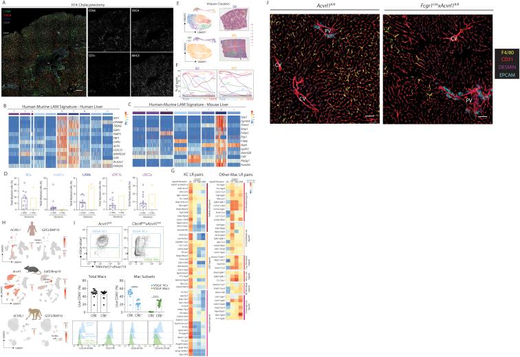 https://cdn.ncbi.nlm.nih.gov/pmc/blobs/aff2/8809252/f3c661f32618/figs8.jpg