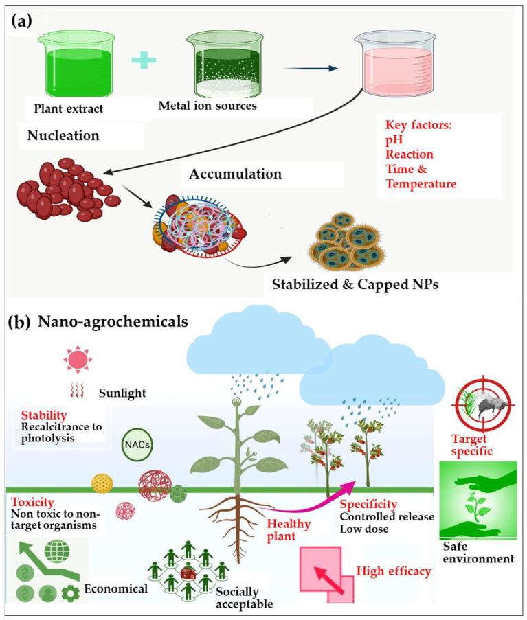 https://cdn.ncbi.nlm.nih.gov/pmc/blobs/aff3/10780915/7cecc14dffea/plants-13-00109-g004.jpg