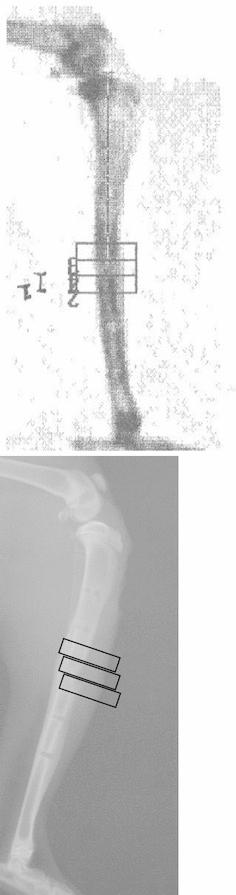 https://cdn.ncbi.nlm.nih.gov/pmc/blobs/aff6/3951619/db2c5892feee/11751_2014_188_Fig1_HTML.jpg
