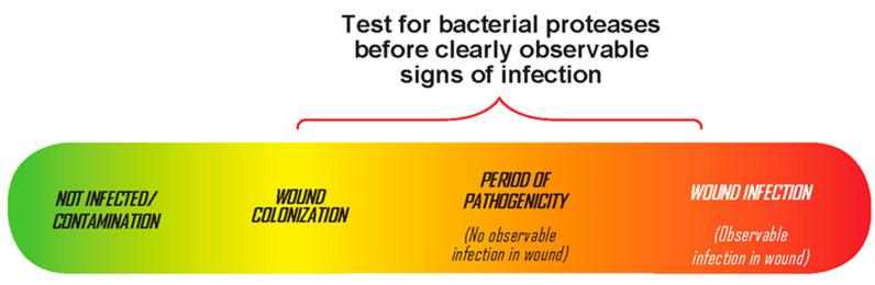https://cdn.ncbi.nlm.nih.gov/pmc/blobs/aff6/7824433/b33e94901f89/diagnostics-11-00050-g001.jpg