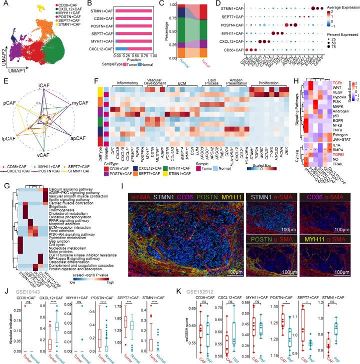 https://cdn.ncbi.nlm.nih.gov/pmc/blobs/aff7/11284881/23cbea5b18bb/jitc-12-7-g002.jpg