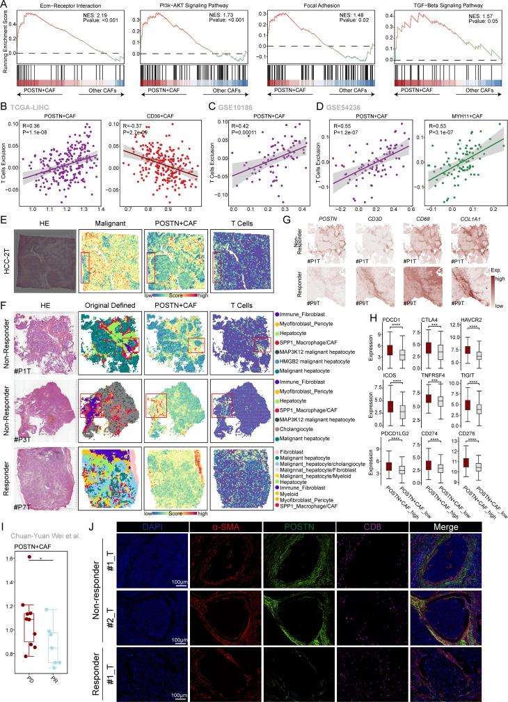 https://cdn.ncbi.nlm.nih.gov/pmc/blobs/aff7/11284881/9dfab756e020/jitc-12-7-g004.jpg