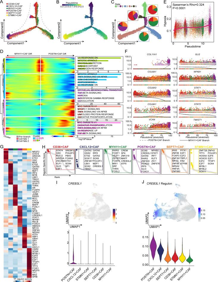 https://cdn.ncbi.nlm.nih.gov/pmc/blobs/aff7/11284881/e585ed41efba/jitc-12-7-g003.jpg