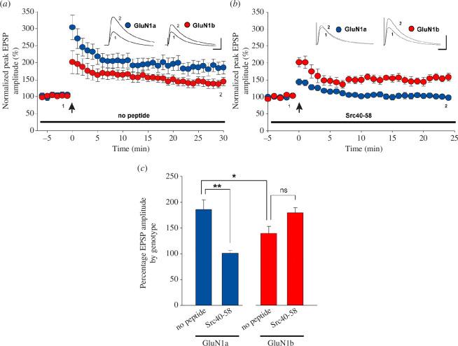https://cdn.ncbi.nlm.nih.gov/pmc/blobs/aff8/11343231/66e178e54aaf/rstb.2023.0236.f002.jpg
