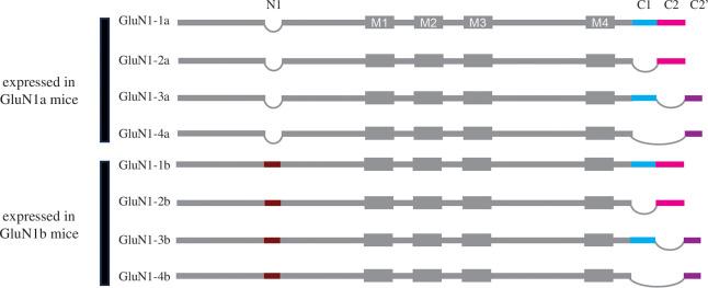 https://cdn.ncbi.nlm.nih.gov/pmc/blobs/aff8/11343231/81e68e875e4d/rstb.2023.0236.f001.jpg
