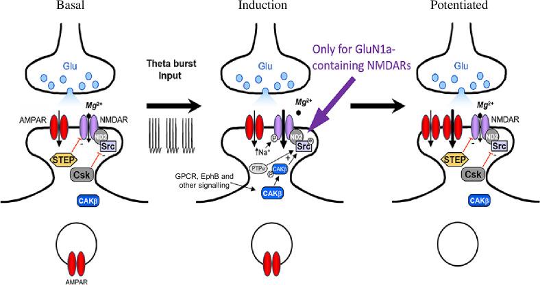 https://cdn.ncbi.nlm.nih.gov/pmc/blobs/aff8/11343231/e3885e8b9fff/rstb.2023.0236.f005.jpg