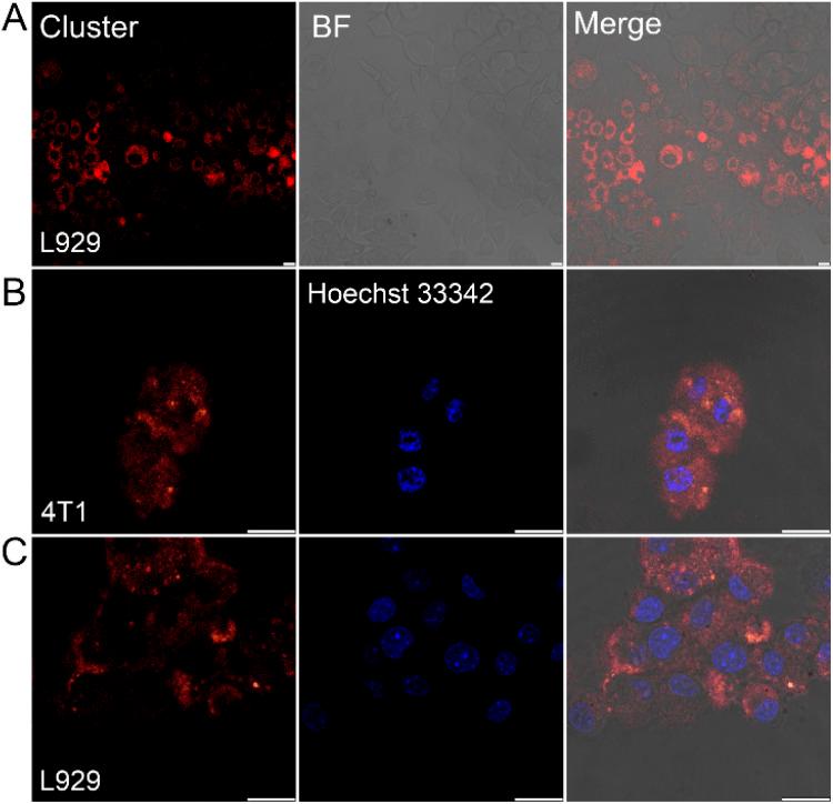 https://cdn.ncbi.nlm.nih.gov/pmc/blobs/aff8/11463294/6f75315b4657/d4sc04594g-f5.jpg