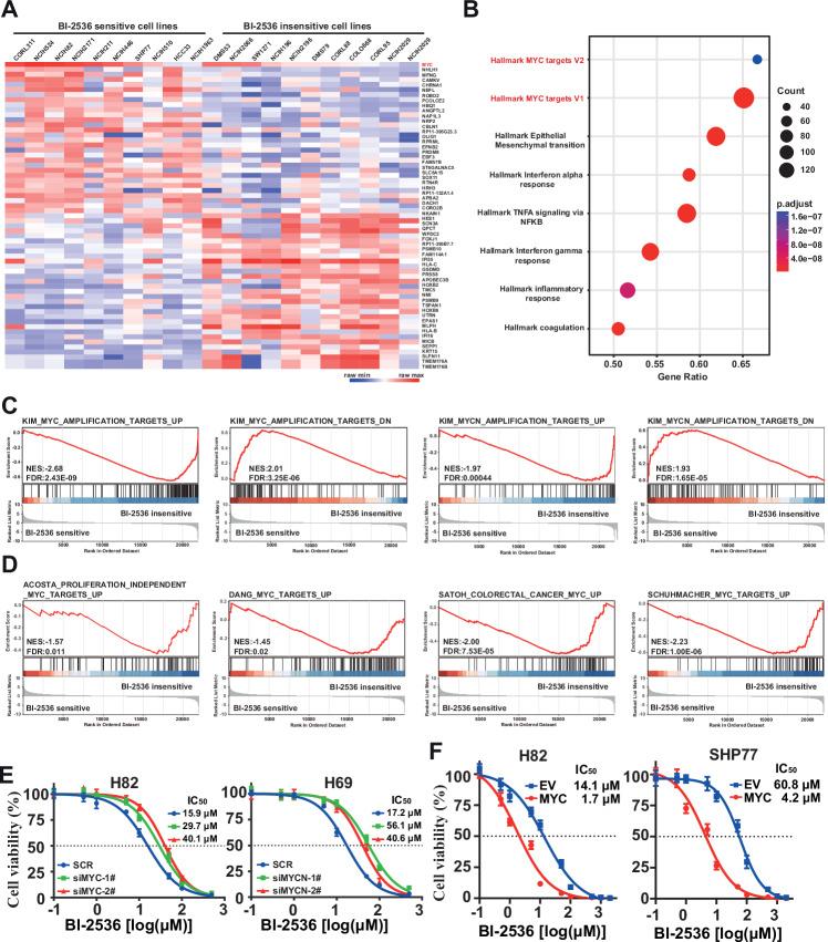 https://cdn.ncbi.nlm.nih.gov/pmc/blobs/aff9/11291995/b692d0d2da33/41419_2024_6950_Fig5_HTML.jpg