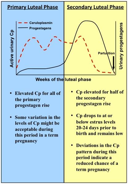 https://cdn.ncbi.nlm.nih.gov/pmc/blobs/affa/3135589/6d43a1f1442d/pone.0021159.g007.jpg