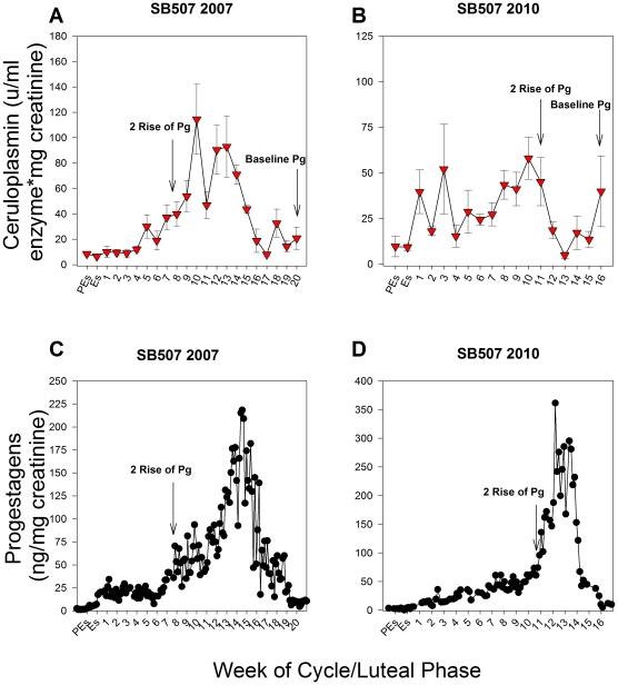 https://cdn.ncbi.nlm.nih.gov/pmc/blobs/affa/3135589/81e15d8354c4/pone.0021159.g004.jpg