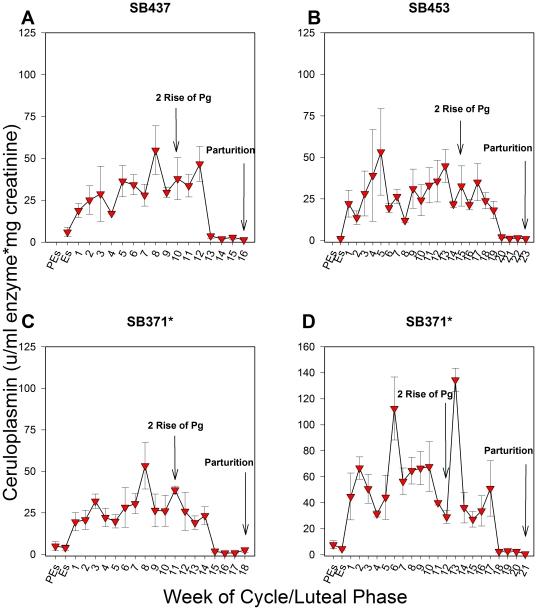 https://cdn.ncbi.nlm.nih.gov/pmc/blobs/affa/3135589/917c795476a8/pone.0021159.g002.jpg