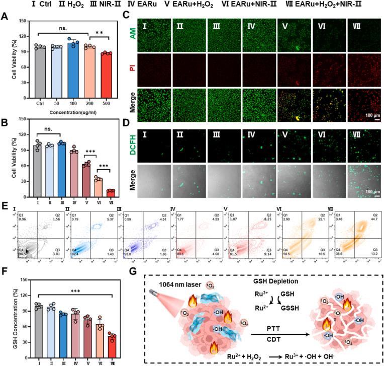 https://cdn.ncbi.nlm.nih.gov/pmc/blobs/affb/12088772/39327ececa73/gr5.jpg