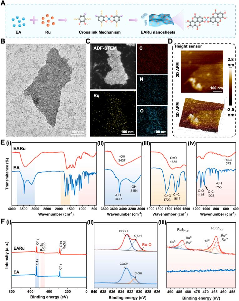 https://cdn.ncbi.nlm.nih.gov/pmc/blobs/affb/12088772/e58a6f2cc536/gr2.jpg
