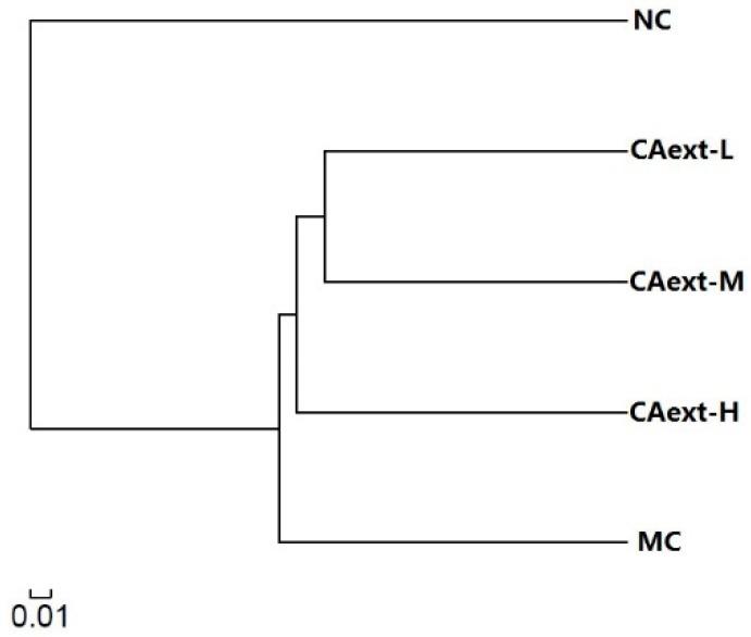 https://cdn.ncbi.nlm.nih.gov/pmc/blobs/affb/6225199/ac963e33083e/molecules-23-02188-g002.jpg