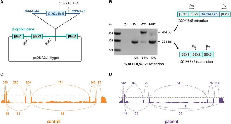 https://cdn.ncbi.nlm.nih.gov/pmc/blobs/affc/11699292/c1d1e1642c3e/gr3.jpg