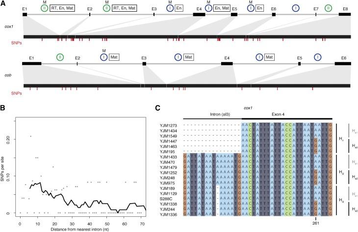 https://cdn.ncbi.nlm.nih.gov/pmc/blobs/affc/5378118/c739083957e9/1641fig1.jpg