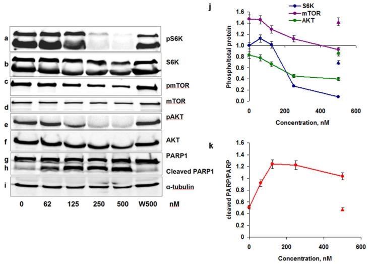 https://cdn.ncbi.nlm.nih.gov/pmc/blobs/affc/9503112/3fa9dcdbcd22/ijms-23-10854-g004.jpg