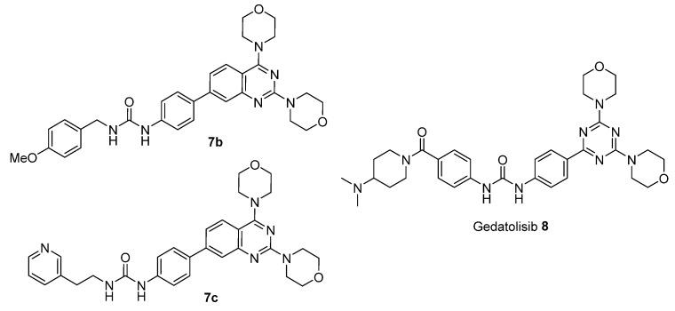 https://cdn.ncbi.nlm.nih.gov/pmc/blobs/affc/9503112/e32524a9ec36/ijms-23-10854-g011.jpg