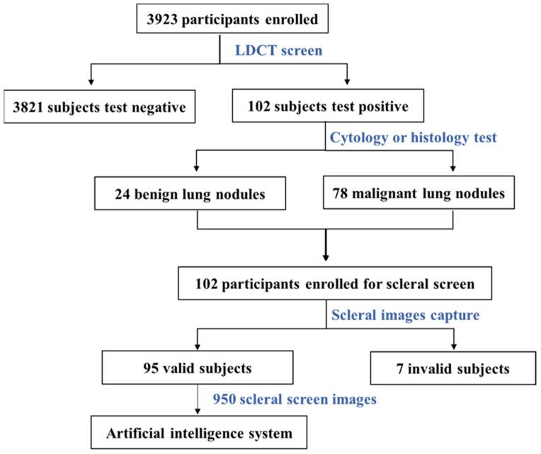 https://cdn.ncbi.nlm.nih.gov/pmc/blobs/b000/9954858/16b75a383653/diagnostics-13-00648-g001.jpg