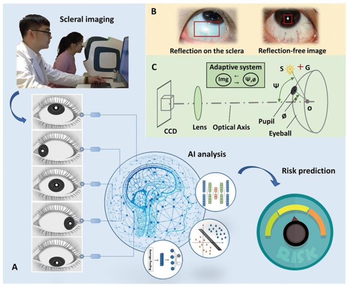 https://cdn.ncbi.nlm.nih.gov/pmc/blobs/b000/9954858/bd9acde0ba51/diagnostics-13-00648-g002.jpg