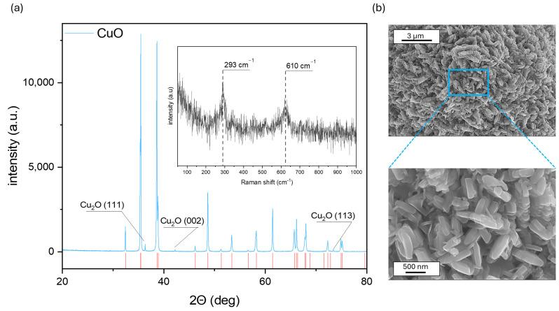 https://cdn.ncbi.nlm.nih.gov/pmc/blobs/b001/11359257/99d27a77ec5e/sensors-24-05290-g001.jpg