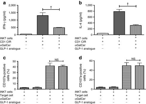 https://cdn.ncbi.nlm.nih.gov/pmc/blobs/b002/3188710/496e3546476d/125_2011_2232_Fig5_HTML.jpg