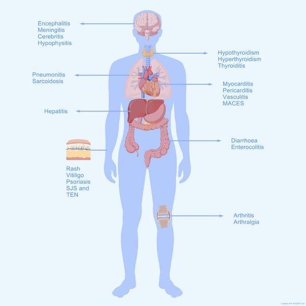 https://cdn.ncbi.nlm.nih.gov/pmc/blobs/b004/12335673/8e7160b0f786/MCO2-6-e70176-g003.jpg