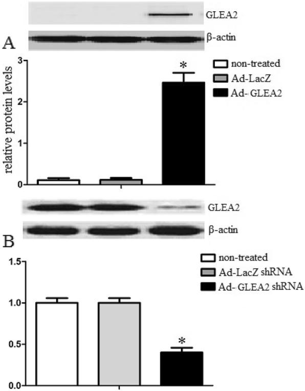 https://cdn.ncbi.nlm.nih.gov/pmc/blobs/b005/6995099/00001f34264c/12950_2020_239_Fig1_HTML.jpg