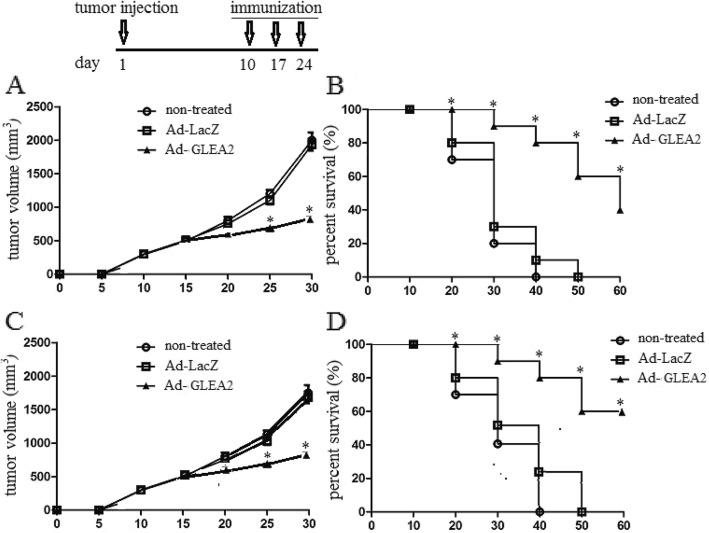 https://cdn.ncbi.nlm.nih.gov/pmc/blobs/b005/6995099/44e7e2c0821e/12950_2020_239_Fig5_HTML.jpg