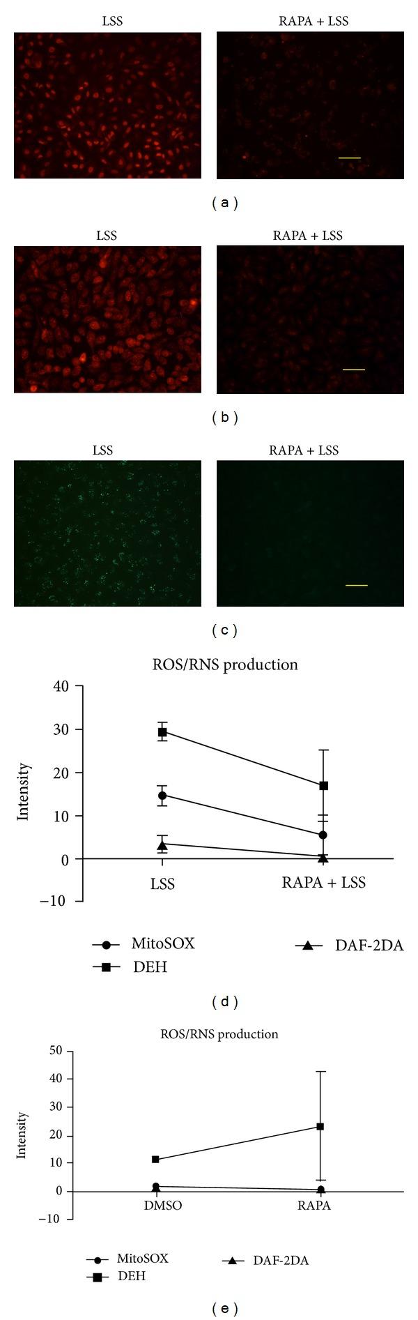 https://cdn.ncbi.nlm.nih.gov/pmc/blobs/b006/3920857/457a80b00bc8/MI2014-769608.002.jpg