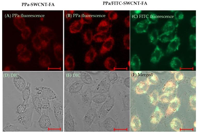 https://cdn.ncbi.nlm.nih.gov/pmc/blobs/b007/5245750/31cc2b50a3a3/nanomaterials-06-00216-g005.jpg