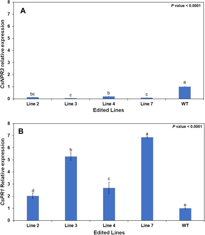 https://cdn.ncbi.nlm.nih.gov/pmc/blobs/b007/8932238/44c16aa7137e/13007_2022_870_Fig7_HTML.jpg