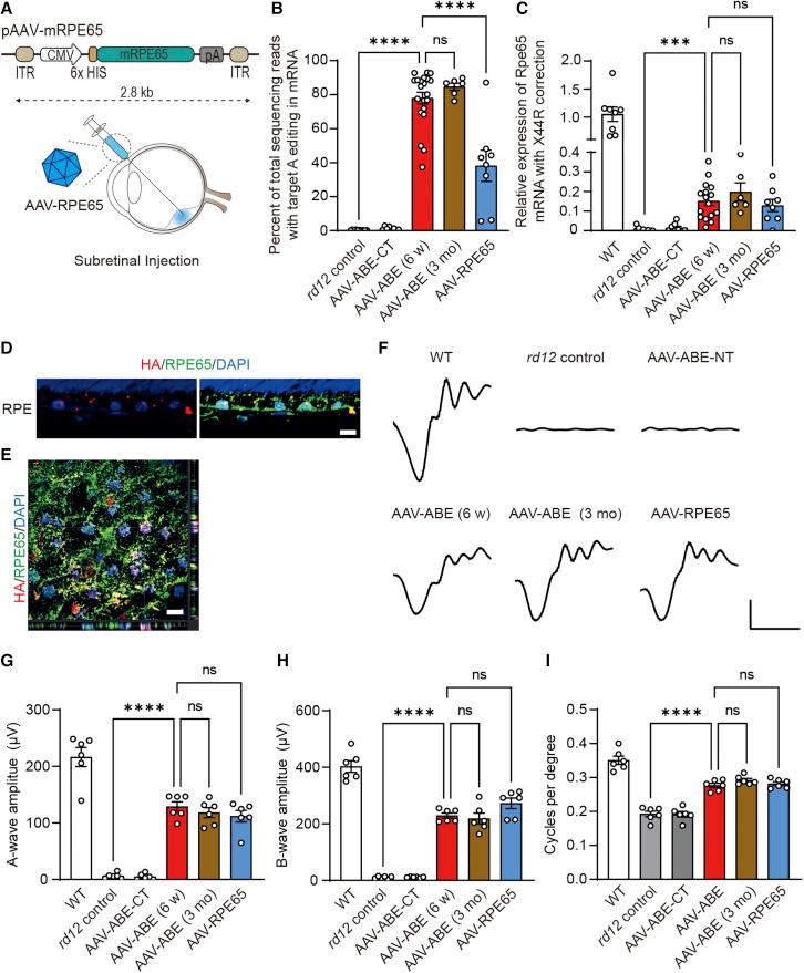 https://cdn.ncbi.nlm.nih.gov/pmc/blobs/b007/9792702/3697a117d768/gr4.jpg