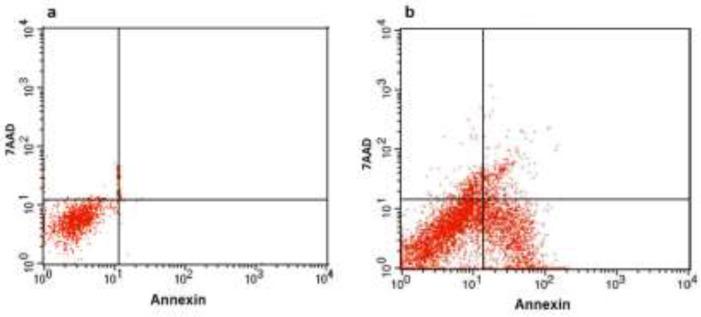 https://cdn.ncbi.nlm.nih.gov/pmc/blobs/b008/7711296/bdced78a0c3e/AJP-10-641-g003.jpg