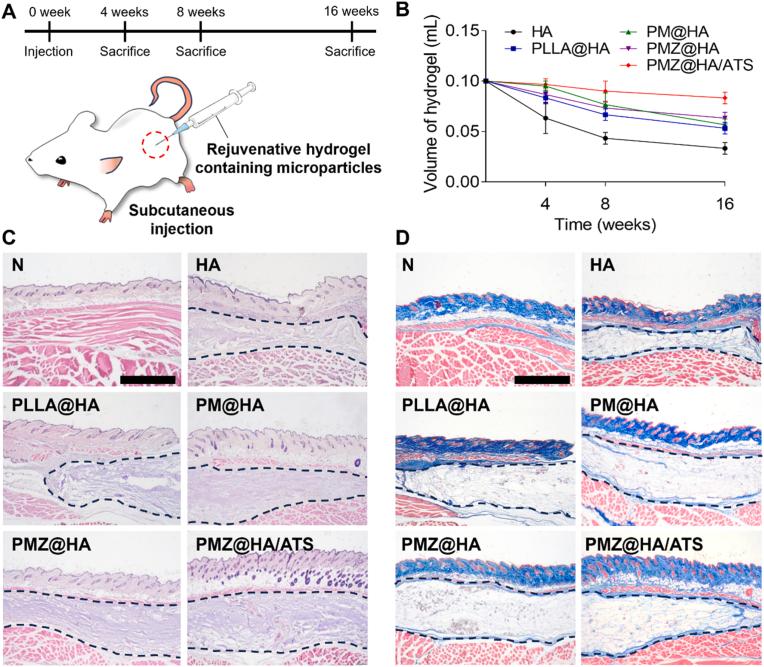 https://cdn.ncbi.nlm.nih.gov/pmc/blobs/b009/10755792/b3b8aa26c965/gr6.jpg