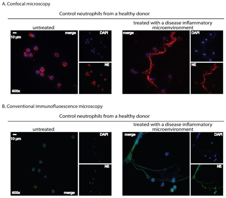 https://cdn.ncbi.nlm.nih.gov/pmc/blobs/b009/9781911/d07697e03b33/ijms-23-15823-g002.jpg