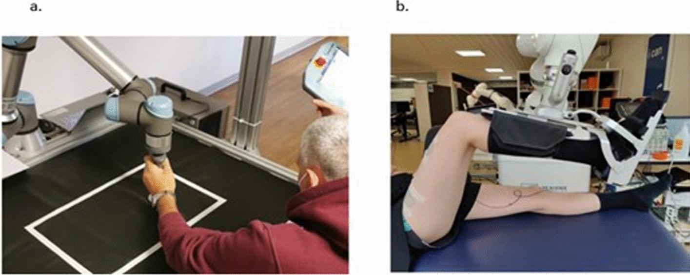 https://cdn.ncbi.nlm.nih.gov/pmc/blobs/b00b/12042587/fe88f27ea311/12938_2025_1362_Fig5_HTML.jpg