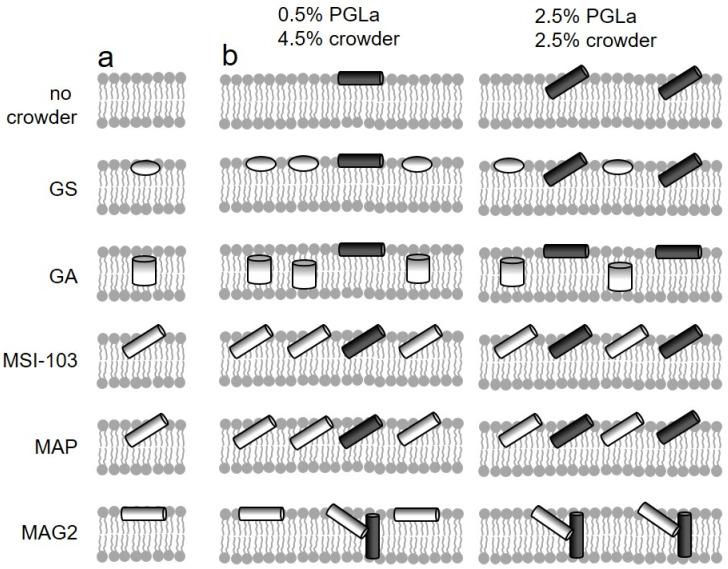 https://cdn.ncbi.nlm.nih.gov/pmc/blobs/b00c/9101910/0c78052d9a0d/ijms-23-04544-g001.jpg