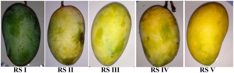 https://cdn.ncbi.nlm.nih.gov/pmc/blobs/b00d/11811868/12b794f7c736/S2048679025000023_fig1.jpg