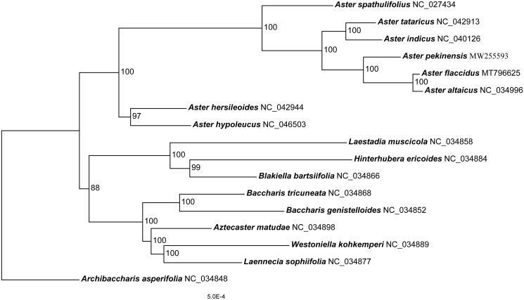 https://cdn.ncbi.nlm.nih.gov/pmc/blobs/b00e/7995869/c6e91d459f08/TMDN_A_1899081_F0001_B.jpg