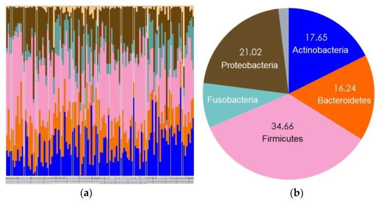 https://cdn.ncbi.nlm.nih.gov/pmc/blobs/b00e/8393408/5a516c2fcb8c/diagnostics-11-01324-g005.jpg
