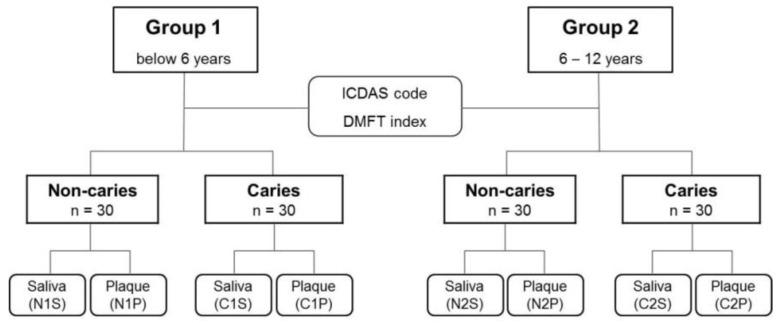 https://cdn.ncbi.nlm.nih.gov/pmc/blobs/b00e/8393408/78db8e7c0132/diagnostics-11-01324-g001.jpg