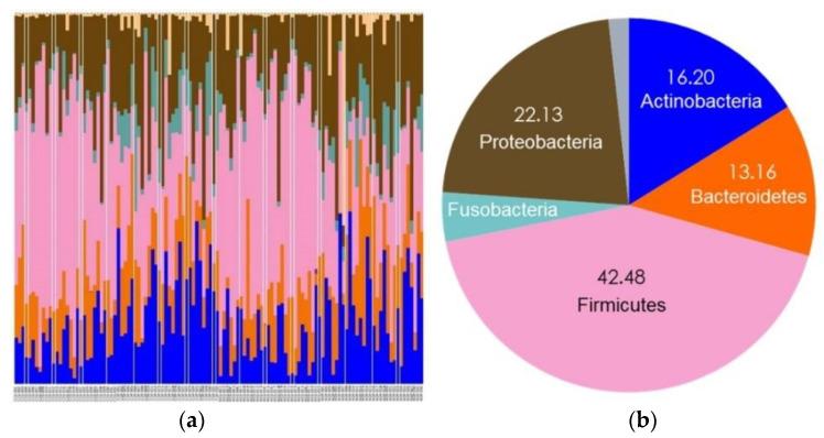 https://cdn.ncbi.nlm.nih.gov/pmc/blobs/b00e/8393408/96b918a1962a/diagnostics-11-01324-g004.jpg