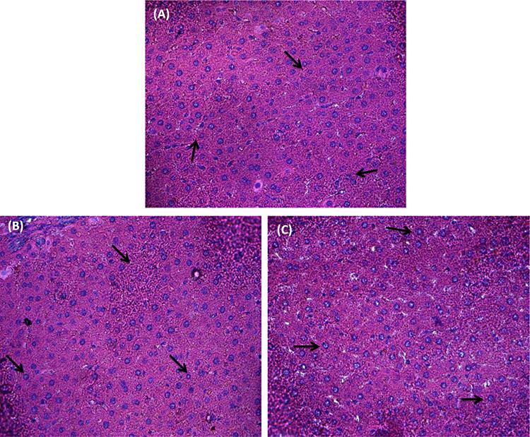 https://cdn.ncbi.nlm.nih.gov/pmc/blobs/b00f/5598226/5782f626682f/gr6.jpg